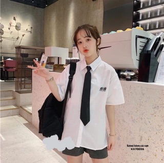 Áo sơmi kèm cà vạt ( KA)