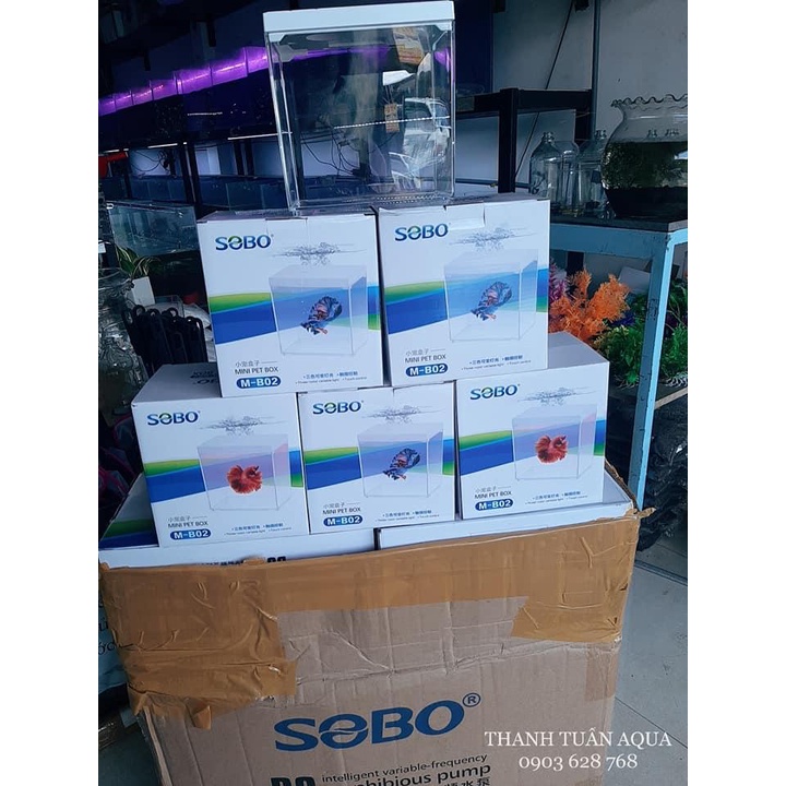SOBO M-B02 - Mini Pet Box | Hồ Arcylic mini show cá Guppy/Betta có nắp và đèn chiếu sáng