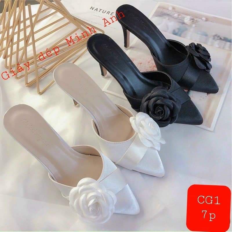 Sục hoa trà gót nhọn