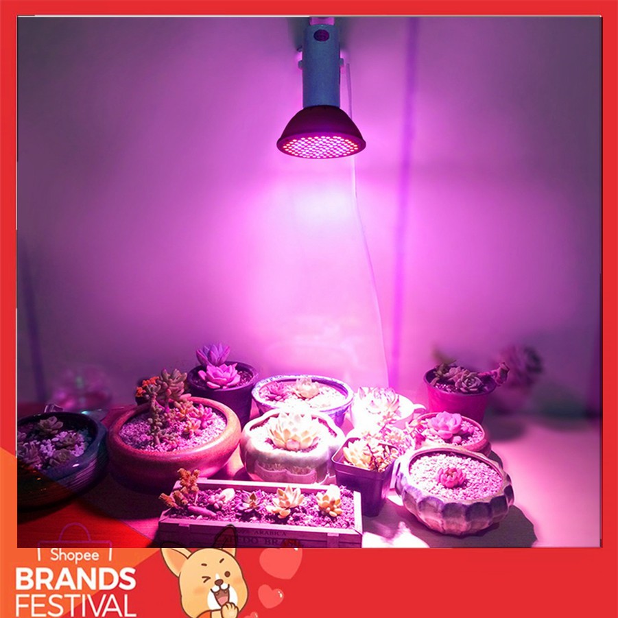 Đèn LED quang phổ toàn phần hỗ trợ trồng cây | BigBuy360 - bigbuy360.vn