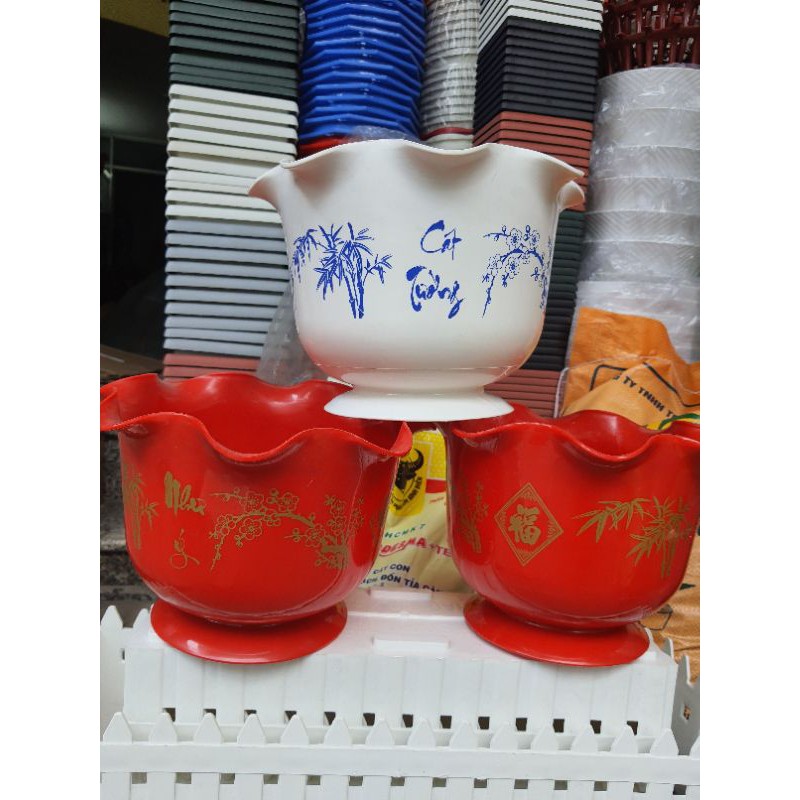 combo 2 chậu cát tường miệng bèo 28x19cm.