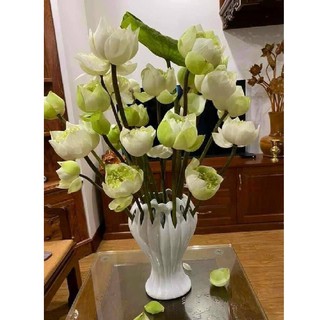 Lọ hoa bàn tay phật 23cm-28cm- 35cm