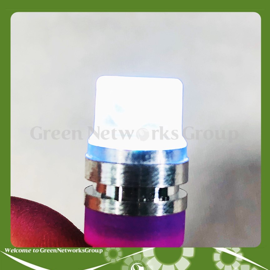 Đèn xi nhan chân ghim T10 chớp ánh sáng 7 màu Greennetworks