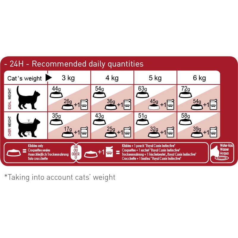 [400g] Hạt Royal Canin Fit 32 Cho Mèo Trưởng Thành Ít Vận Động