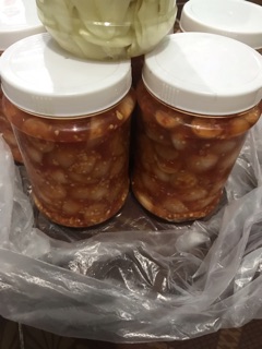 CÀ PHÁO MUỐI XỔI