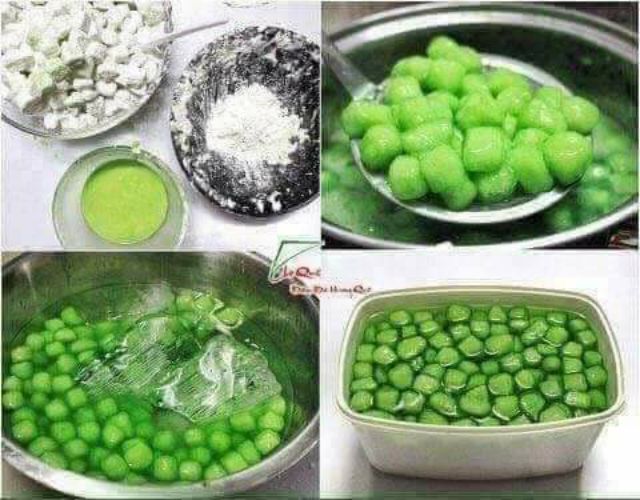 Cây giống lá cơm nếp