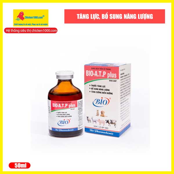 Thú Y Bio ATP Plus Tăng Lực, Chống Teo Cơ Cho Dê, Chó, Mèo, Heo, Bò