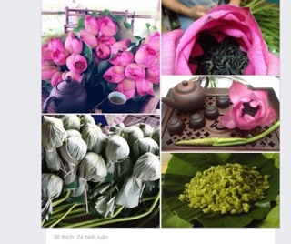 CHÈ BÔNG SEN HỒ TÂY