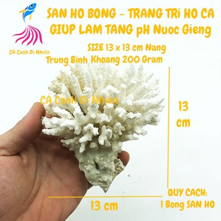 San Hô Bông trang trí hồ cá nước mặn bể thủy sinh size 13 cm