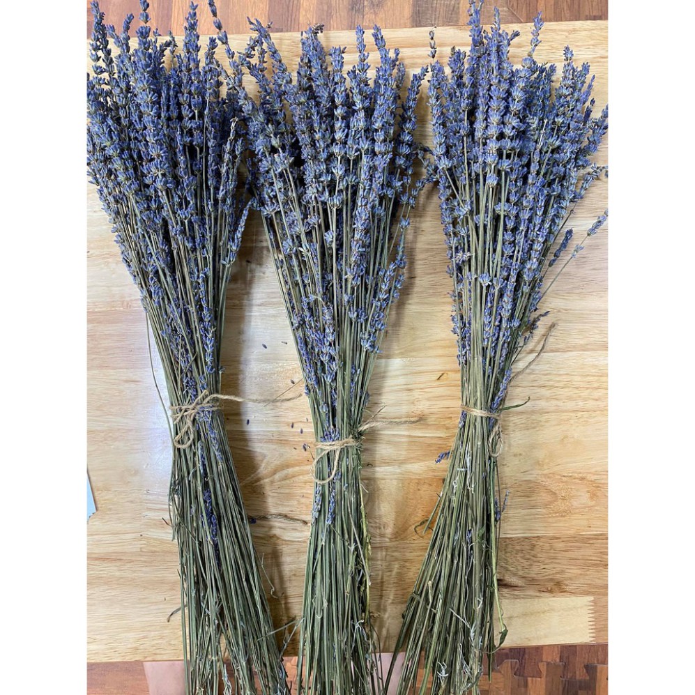 Bó hoa Lavender  khô tự nhiên