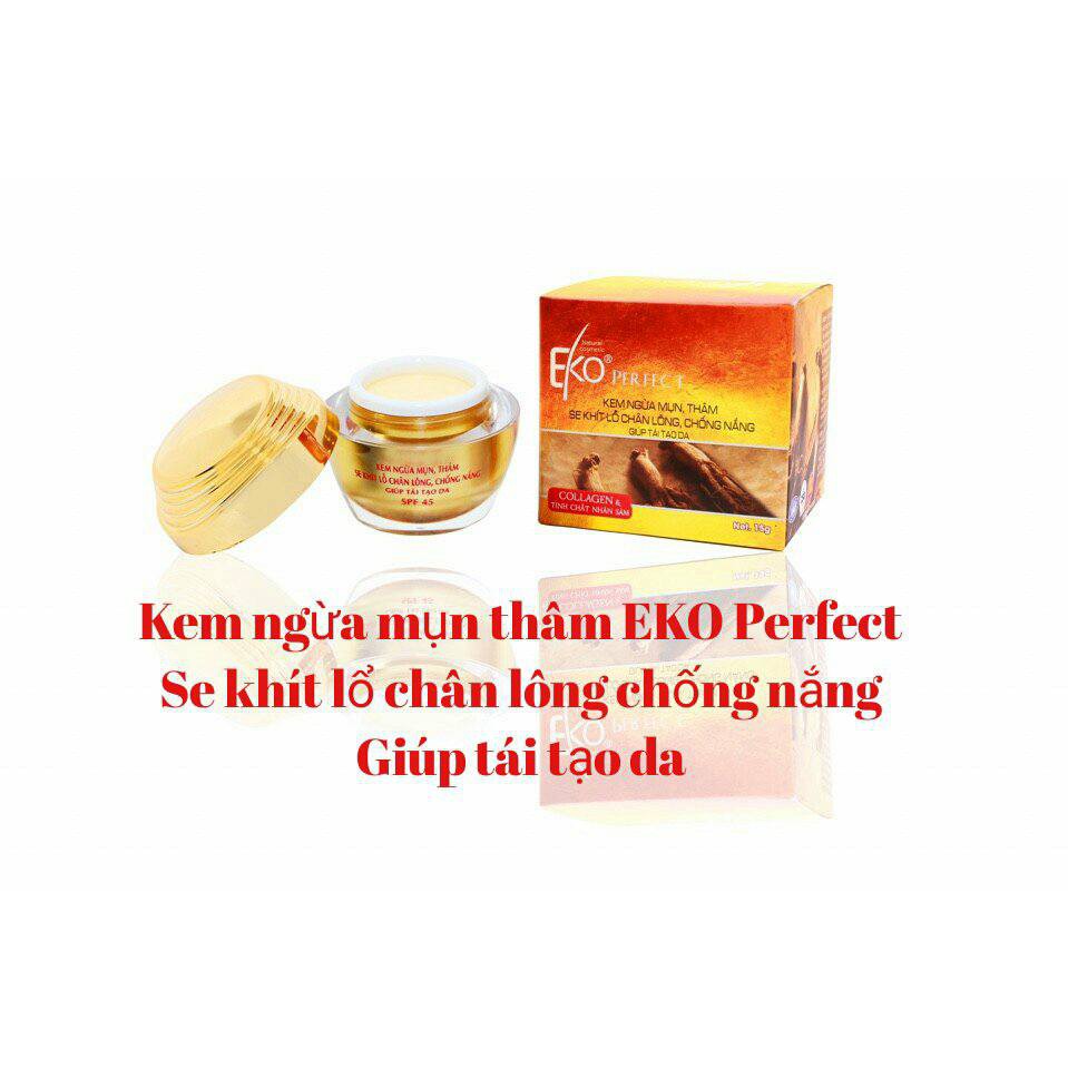 Kem ngừa mụn, thâm EKO PERFECT 9g/15g/30g