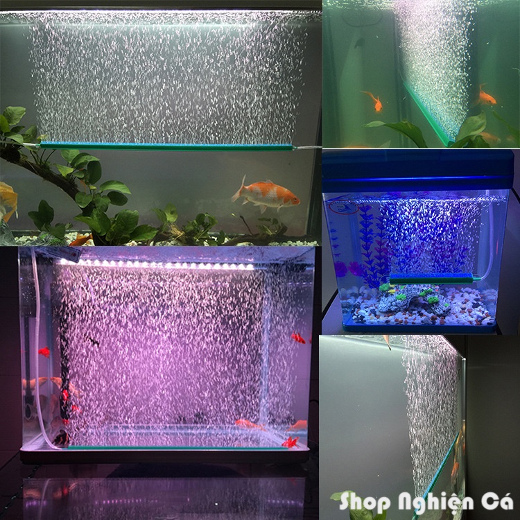 Thanh sủi Oxy Sôi Xanh cho hồ cá cảnh size 20 - 40 cm