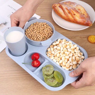 Khay đựng cơm lúa mạch gồm 6 chi tiết cho bé