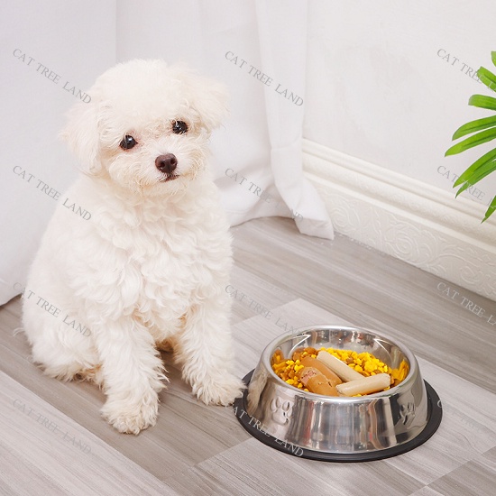 BÁT ĂN CHÓ MÈO BẰNG INOX, BỌC VIỀN CAO SU CHỐNG TRƠN TRƯỢT - KHAY ĂN CHO THÚ CƯNG