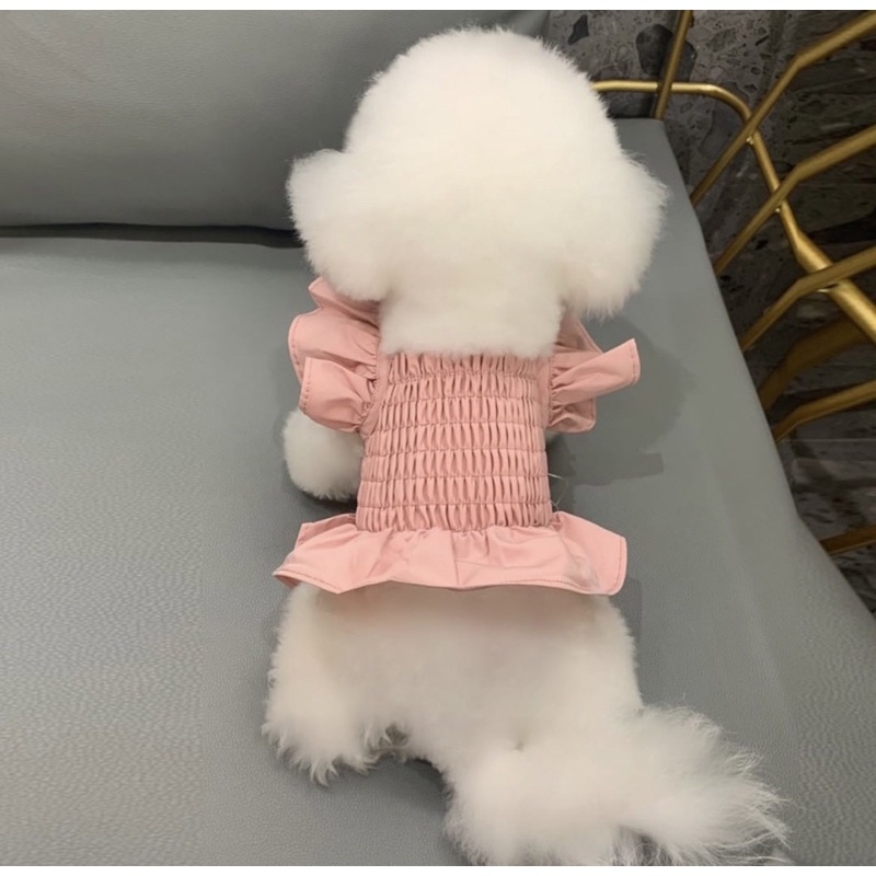 Váy hồng công chúa cho chó mèo