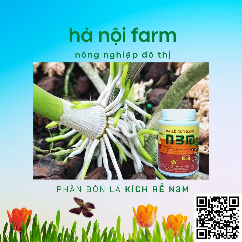 N3M kích ra rễ dạng bột,Kích thích ra rễ cực mạnh- kích thích ra rễ, nảy mầm…- hũ100g