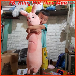 Gối Ôm/Gấu Bông Dễ Thương (Thỏ, Ếch, Khỉ, Sư Tử)