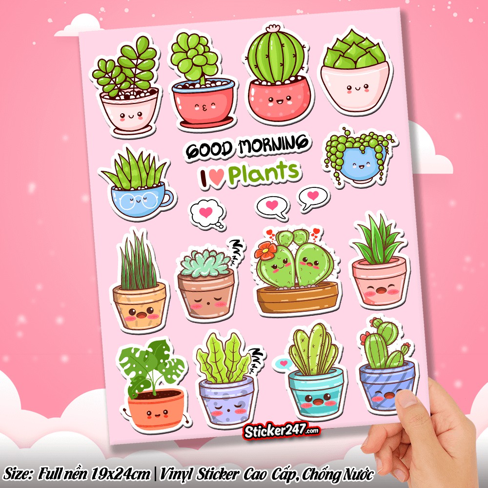 Tổng Hợp Sticker Xương Rồng Chibi Cute Giá Rẻ, Bán Chạy Tháng 8/2023 -  Beecost