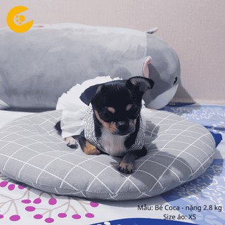Đầm Chó Mèo – Đầm Xếp Ly
