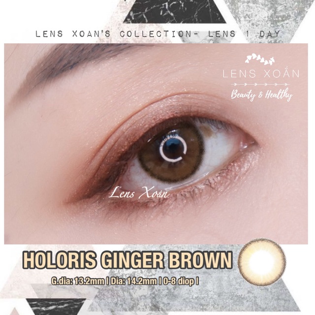 LENS 1 NGÀY HOLORIS GINGER BROWN