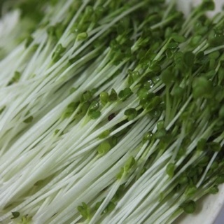 RAU MẦM TÂN TÂY LAN (NGỌT)