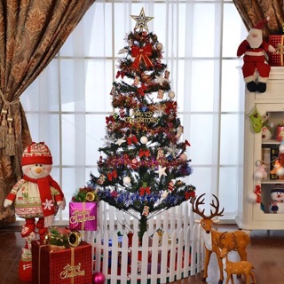 Hàng rào quây cây noel