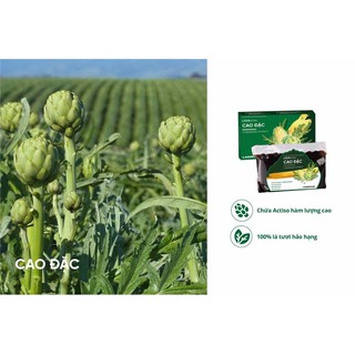 Cao đặc Lado Actiso Đà Lạt, 100g, ladophar