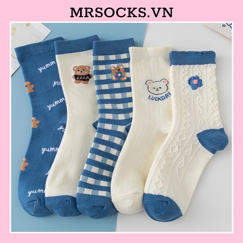 Tất cổ cao nam nữ vớ gấu xanh cute cotton kháng khuẩn thời trang hàn quốc giá rẻ MRSOCKS VC088