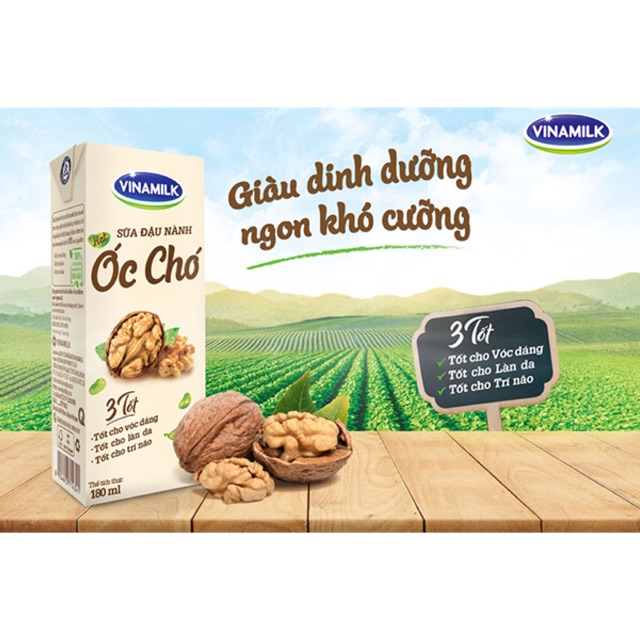 Sữa đậu nàng óc chó