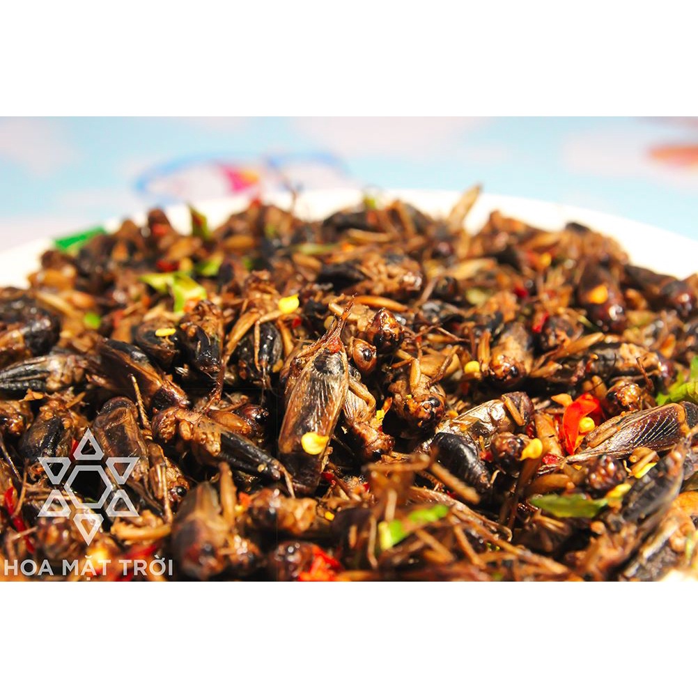 Dế sấy, dế mèn sấy cay giòn, dế thái vàng, đồ khô, đồ sấy, thực phẩm khô, thực phẩm sấy làm đồ nhậu HOA MẶT TRỜI FARM | BigBuy360 - bigbuy360.vn