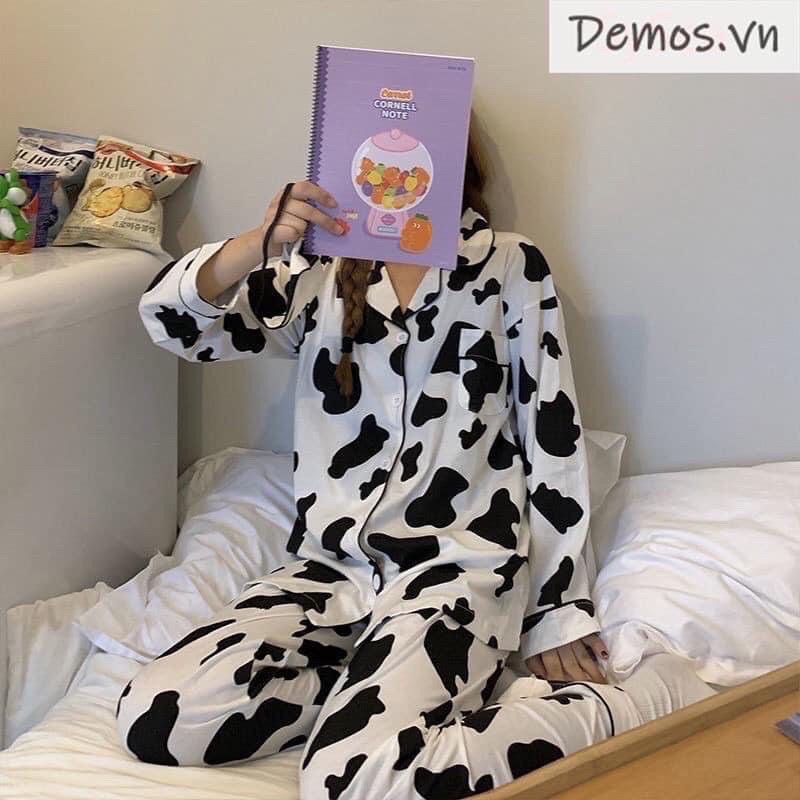 [Rẻ Vô Địch] Bộ Đồ Ngủ Tay Dài Hoạ Tiết nhiều hình-pizama Độc Đáo Dành Cho Nữ | BigBuy360 - bigbuy360.vn