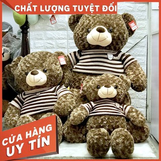 Teddy Socola - Gấu Bông Siêu Cao Cấp
