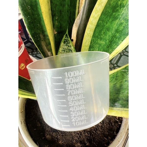 Dụng cụ - Cốc Đo Lường nước 50ml-60ml-100ml