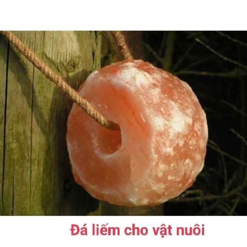 Đá liếm Himalaya khai thác và nhập khẩu từ Pakistan