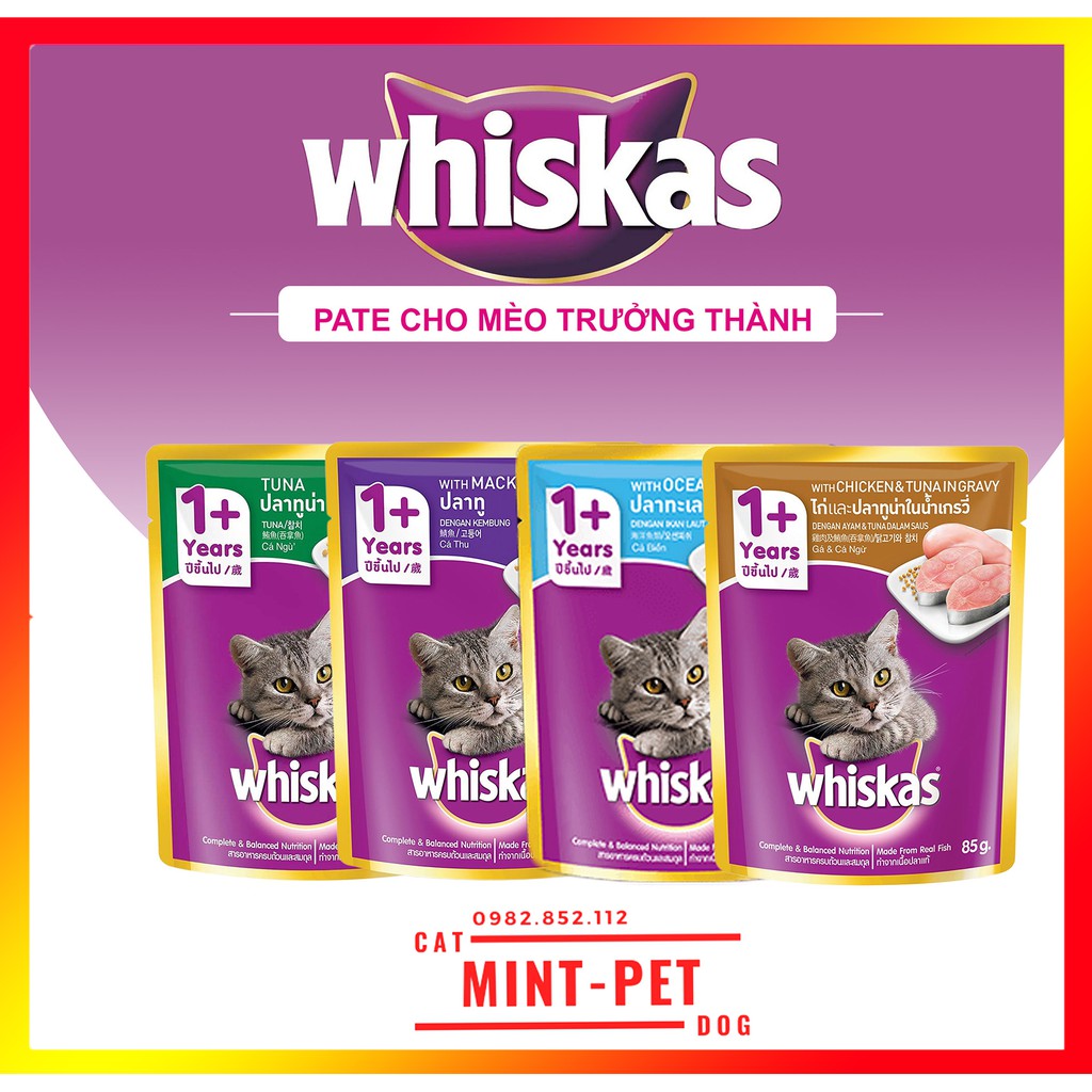 Pate Whiskas cho Mèo Lớn Túi 80g Giá Rẻ #MintPet