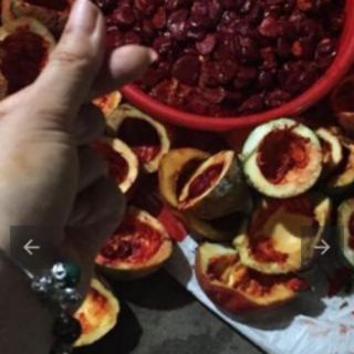 Cốt gừng nghệ hạt gấc hạ thổ