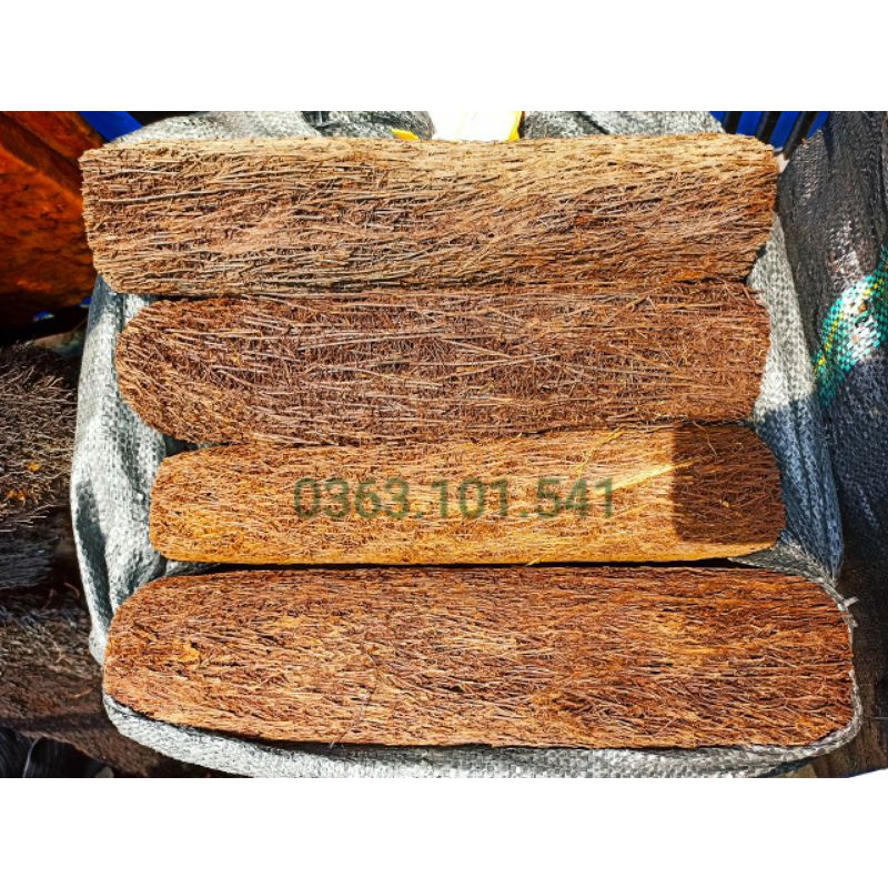 Dớn Trụ Trồng Lan Dày Đẹp Dài 40cm