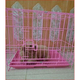Chuồng chó mèo size to nan dầy 2 cửa