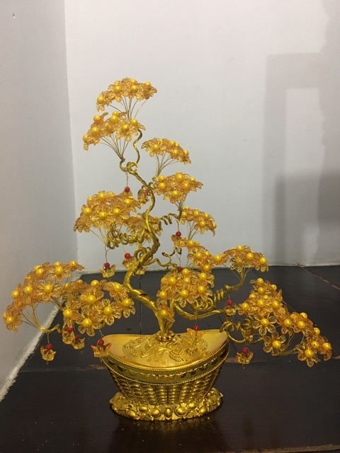 Gốc cây thỏi vàng cao 55cm