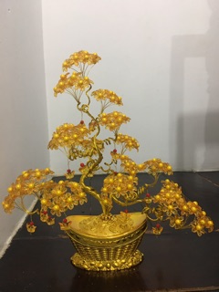 Gốc cây thỏi vàng cao 55cm