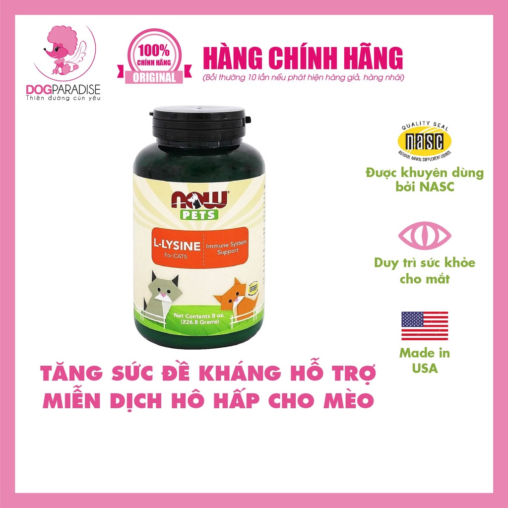 Bột L- Lysine tăng sức đề kháng hỗ trợ miễn dịch hô hấp cho mèo Now Pet - Dog Paradise