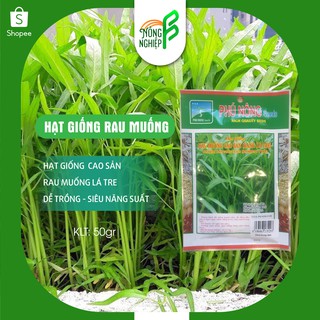 Hạt Giống Rau Muống Cao Sản 50gr - Hạt Giống Rau Muống Lá Tre - Dễ Trồng, Siêu Năng Suất
