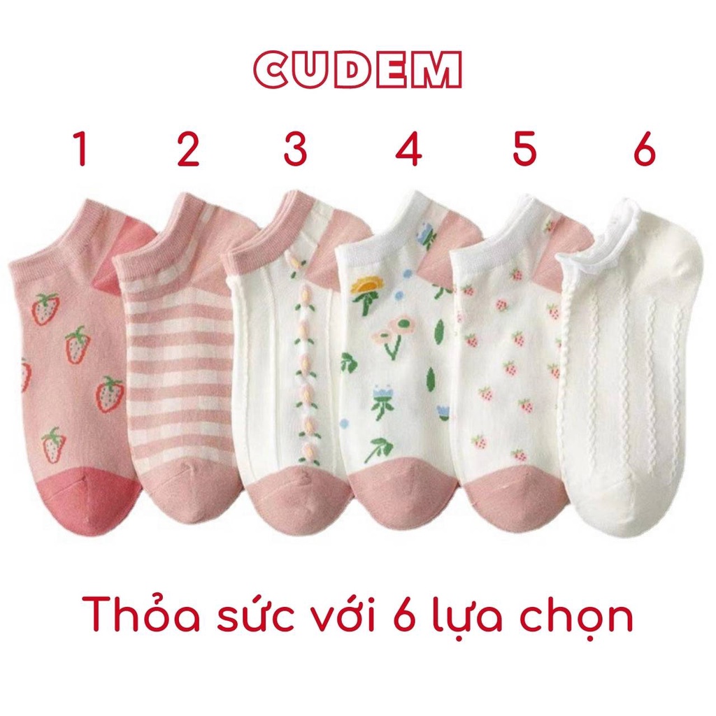 Combo 5 đôi tất vớ nữ cổ ngắn - vớ nữ cổ ngắn phong cách Nhật Hàn đáng yêu N1