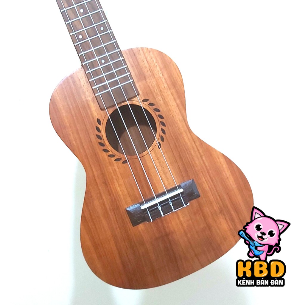 Đàn Ukulele Concert 23inch Gỗ cao cấp - Tặng bao đàn, pick gãy, dây đeo ukulele