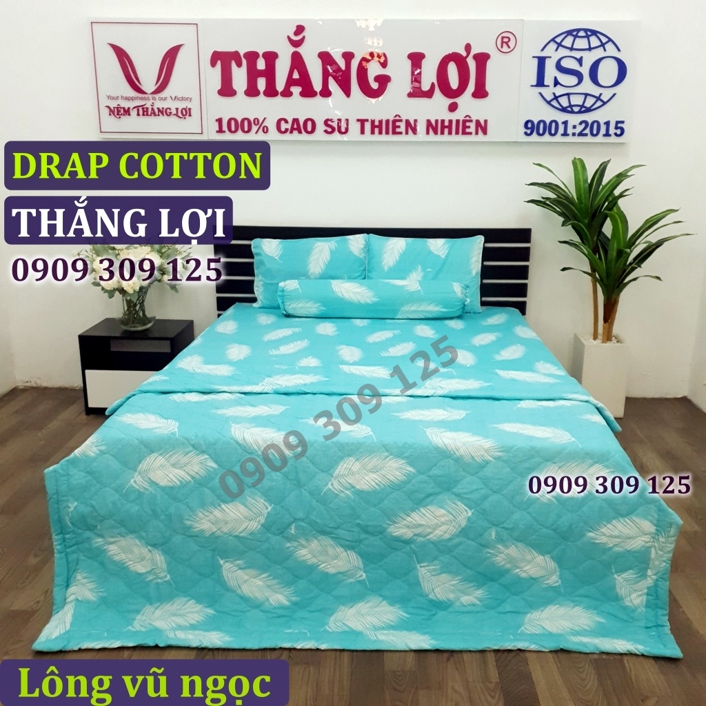 (RẺ VÔ ĐỊCH) bộ drap cotton Thắng Lợi, ga giường 100% cao cấp LÔNG VŨ NGỌC