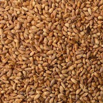 Bá tử nhân khô thượng hạng JINDO
