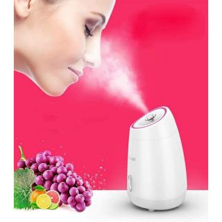Máy xông hơi da mặt hoa quả tươi
