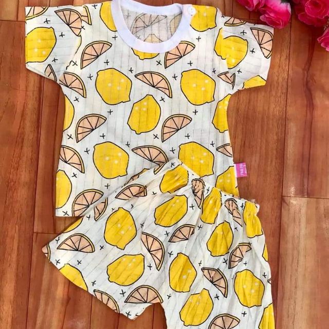 Combo 5 Bộ unchi, noubaby cúc vai