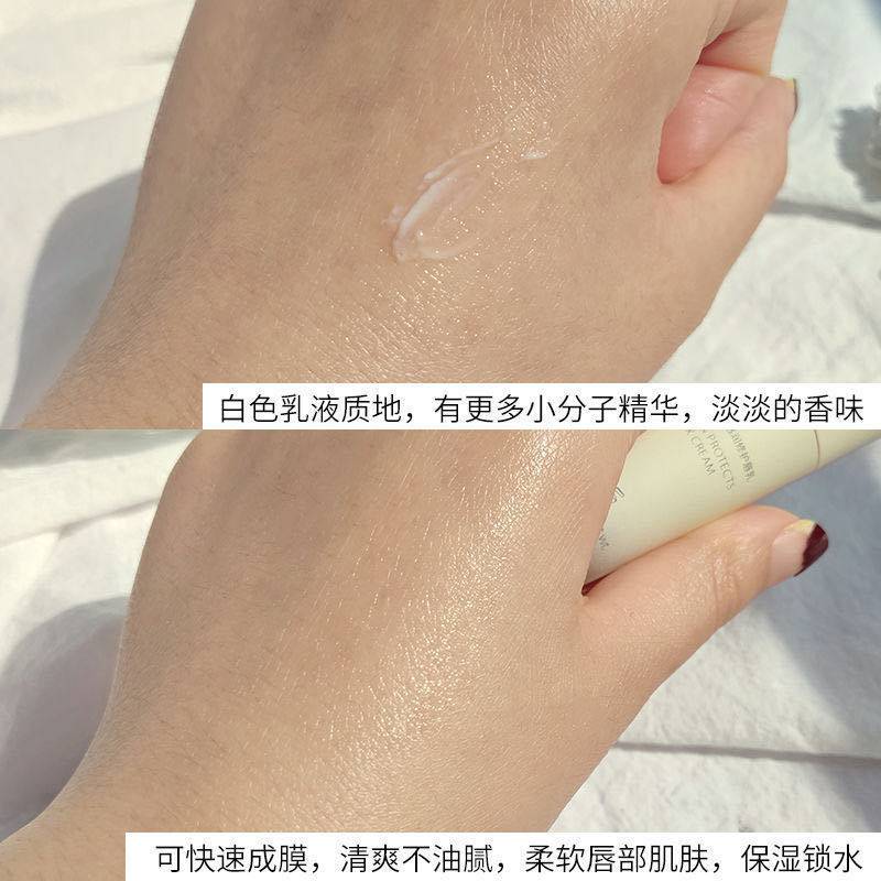 (hàng Mới Về) Son Dưỡng Ẩm Môi Chiết Xuất Sữa Hạt Mỡ Savior Shea | BigBuy360 - bigbuy360.vn