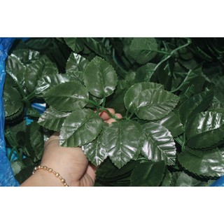 1 LẠNG LÁ HOA HỒNG ĐẸP